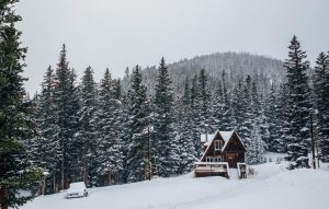 Quel budget prévoir pour construire une cabane dans les Vosges et la louer en saisonnier ?
