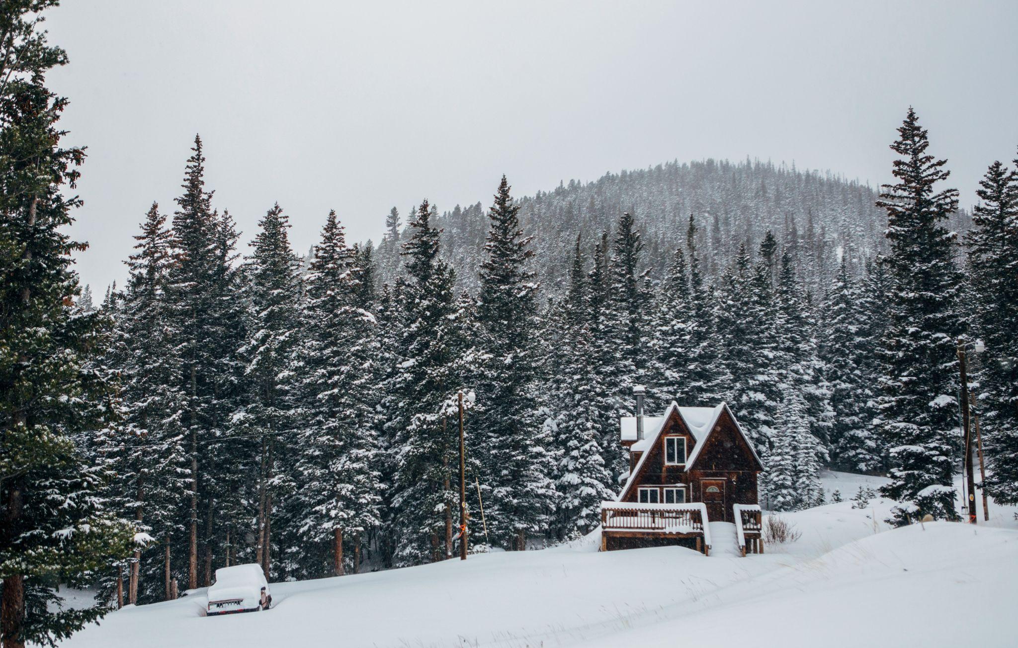 Quel budget prévoir pour construire une cabane dans les Vosges et la louer en saisonnier ?