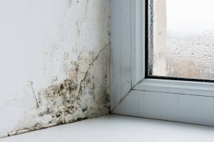Taches d&rsquo;humidité sur les murs : pourquoi s&rsquo;attaquer à la source ?